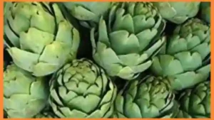 koonaipoo-artichokes